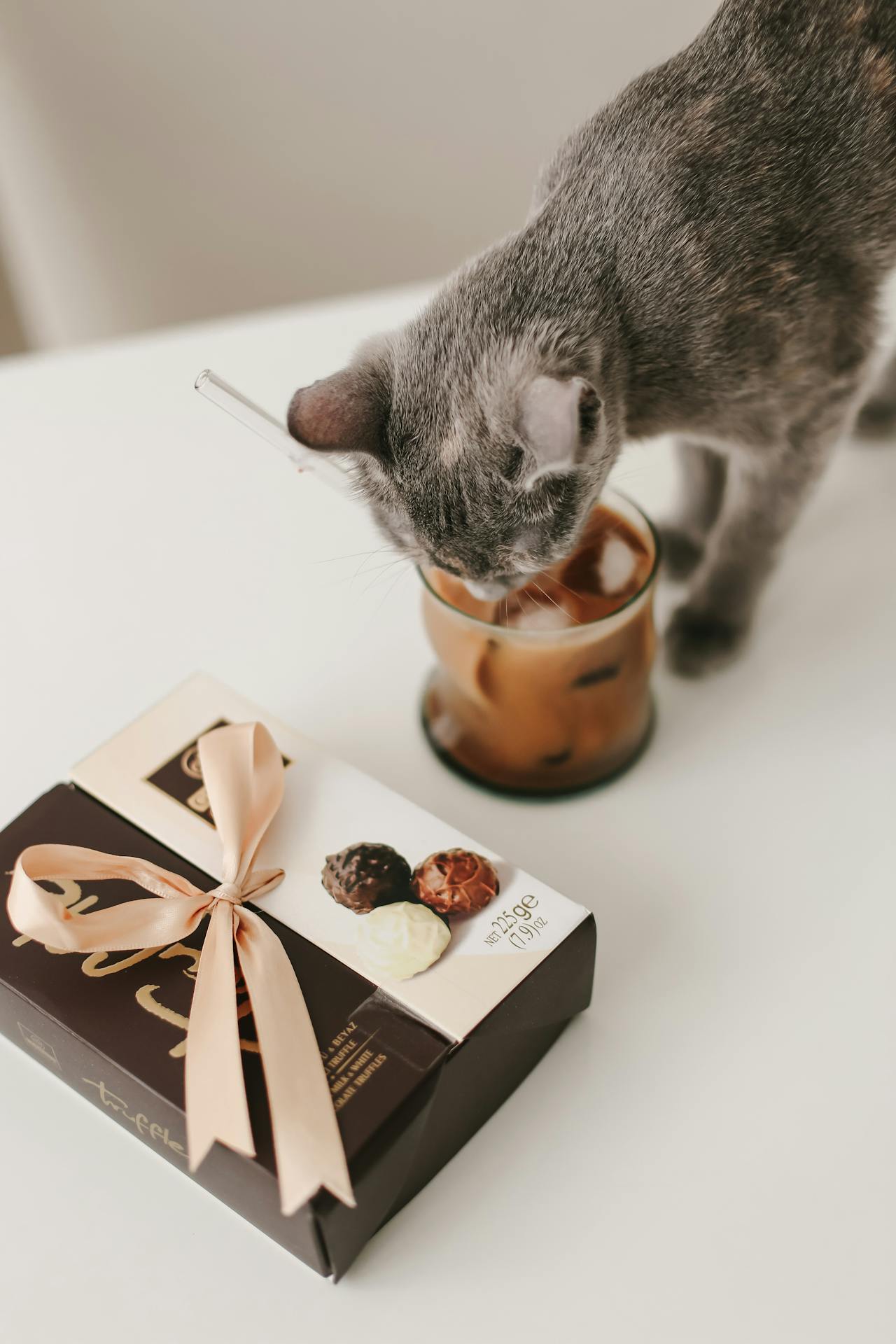 Café com PET banner image